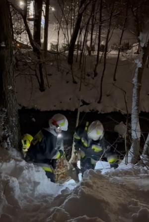 Rano, wieczór, we dnie, w nocy…