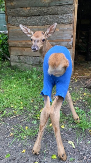 Na upały najlepsze kr&oacute;tkie spodenki☀️