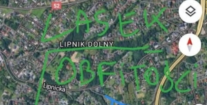 Miejska stołówka dla dzików w Bielsku-Białej cz. 2