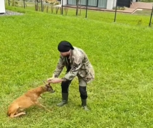 Taka &quot;robota&quot;